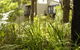 Margarets Forest - thumb 41