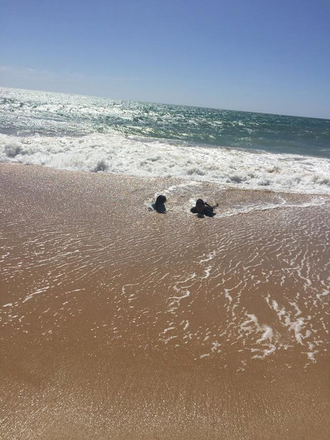 Beach House At SeaScapes.. - Accommodation Port Hedland 30