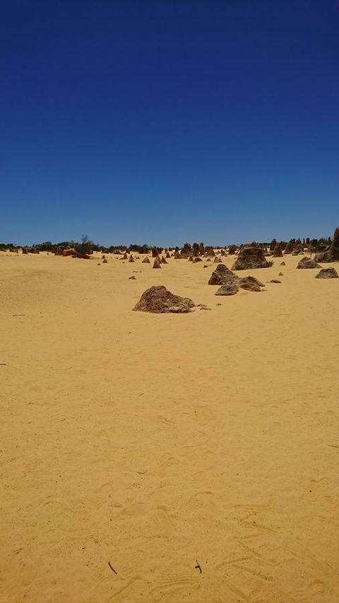 The Bothy Lancelin Family Retreat - Accommodation Port Hedland 35