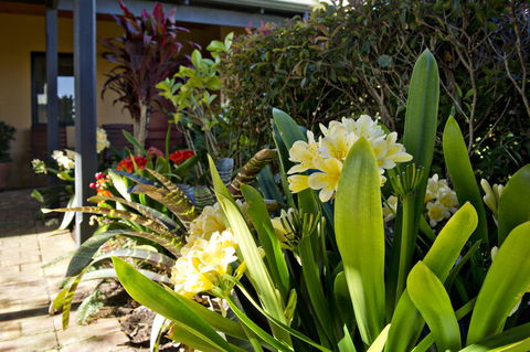 Vintages Accommodation - Accommodation Port Hedland 19