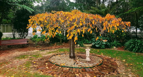Adamsons Riverside Accommodation - Accommodation Port Hedland 22