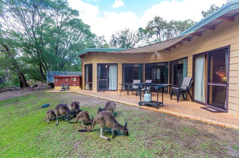 Yelverton Brook Conservation Sanctuary - Accommodation Port Hedland 18