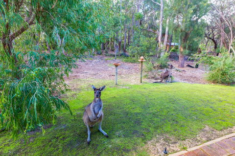 Yelverton Brook Conservation Sanctuary - Accommodation Port Hedland 11