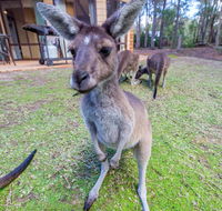 Yelverton Brook Eco Spa Retreat  Conservation Sanctuary - Accommodation Port Hedland