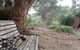 Yelverton Brook Conservation Sanctuary - thumb 42