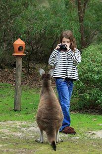Yelverton Brook Conservation Sanctuary - Accommodation Port Hedland 39