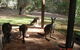 Yelverton Brook Conservation Sanctuary - thumb 22