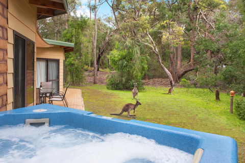 Yelverton Brook Conservation Sanctuary - Accommodation Port Hedland 9