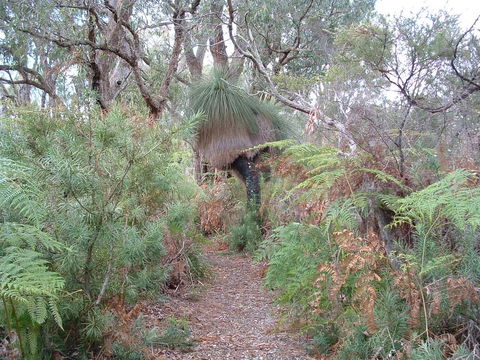 Yelverton Brook Conservation Sanctuary - Accommodation Port Hedland 41