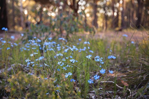 Amaroo Retreat & Spa - Accommodation Port Hedland 15