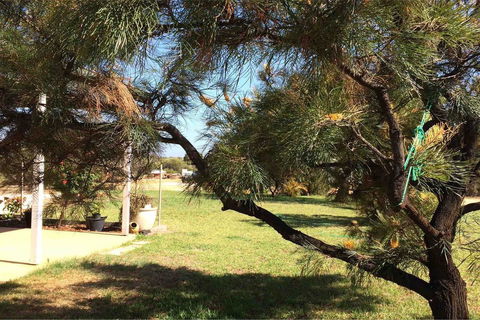 Ocean View Homestead - Accommodation Port Hedland 23