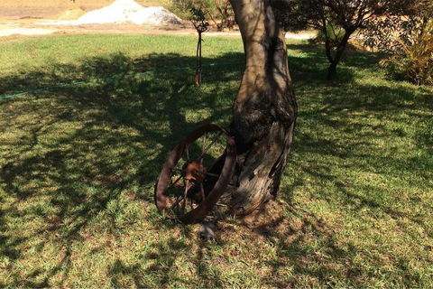 Ocean View Homestead - Accommodation Port Hedland 18
