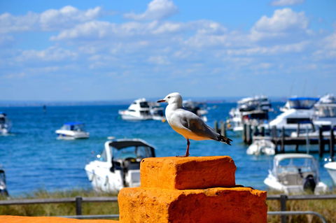 Palms Bed & Breakfast - Accommodation Port Hedland 25