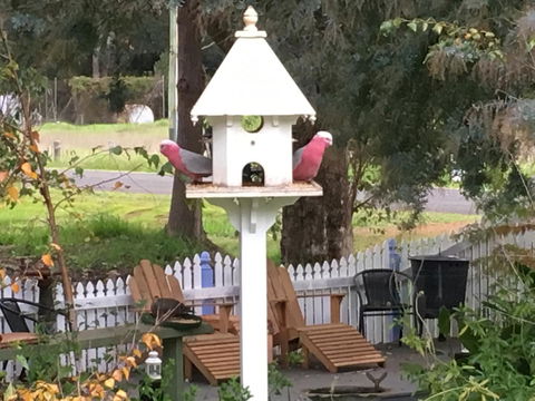 Applegate Lane Chalet - Accommodation Port Hedland 25