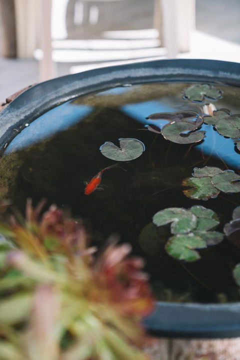 Sun Studio - Accommodation Port Hedland 22