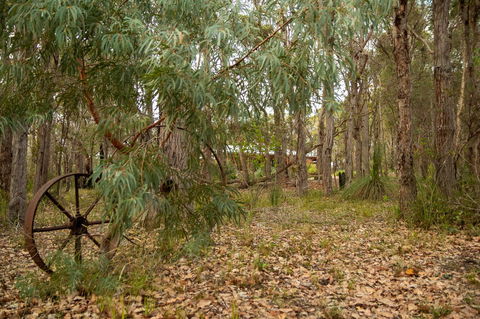 Denmark Forest Retreat - Accommodation Port Hedland 5