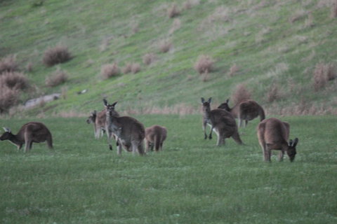The Farmhouse - Accommodation Port Hedland 14