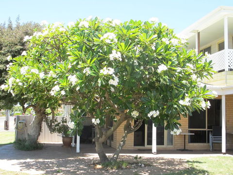 Kalbarri Riverfront Unit - Accommodation Port Hedland 6