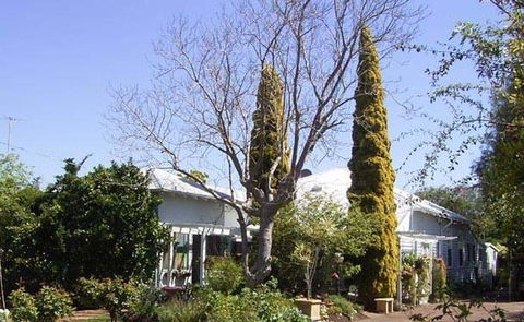 Jacaranda Guest House - Accommodation Port Hedland 37