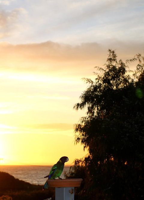 Peppy Beach Ocean Views - Accommodation Port Hedland 12