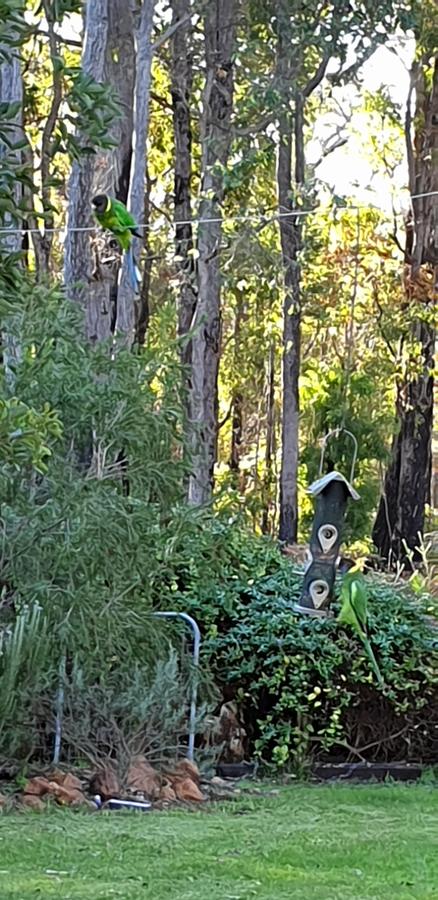 Di's Cabin In Dwellingup - Accommodation Port Hedland 6