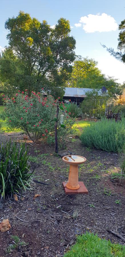 Di's Cabin In Dwellingup - Accommodation Port Hedland 14