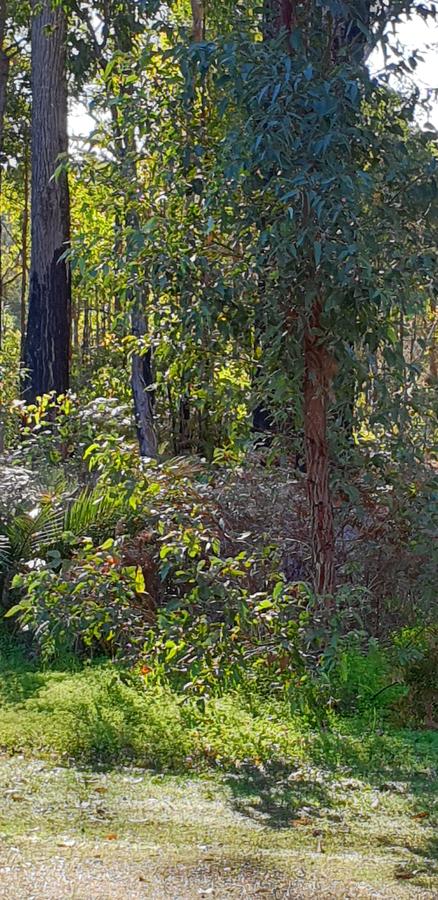 Di's Cabin In Dwellingup - Accommodation Port Hedland 8
