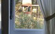 Di's Cabin In Dwellingup - thumb 15