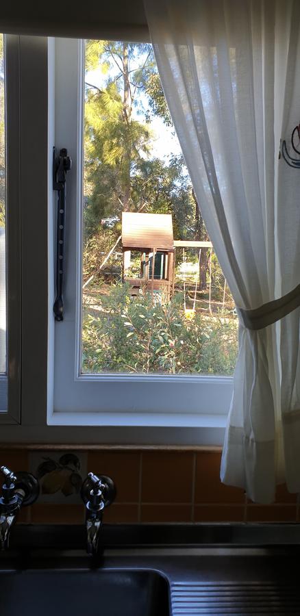 Di's Cabin In Dwellingup - Accommodation Port Hedland 15