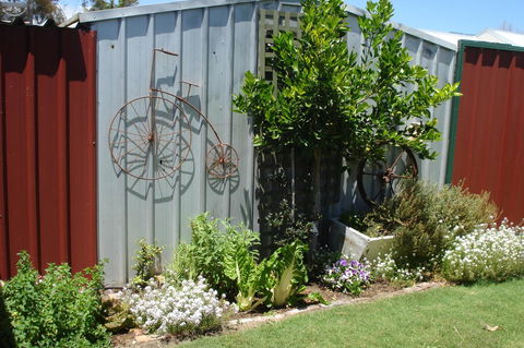 Bluebird Cottage - Accommodation Port Hedland 26