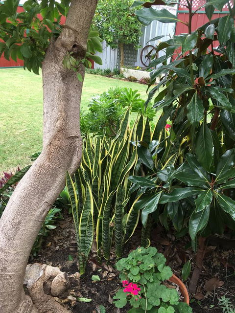 Bluebird Cottage - Accommodation Port Hedland 30