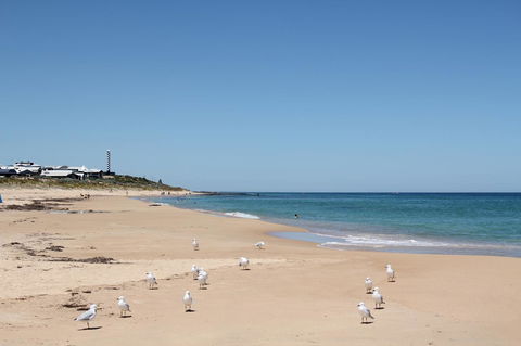 Bluebird Cottage - Accommodation Port Hedland 40