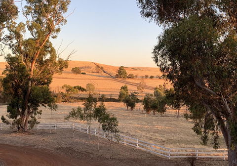 Daisy Cottage - Accommodation Port Hedland 4