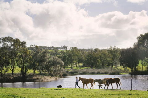 Daisy Cottage - Accommodation Port Hedland 28