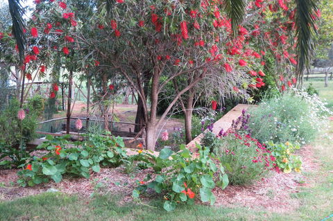 Bentwood Olive Grove Accommodation - Accommodation Port Hedland 21