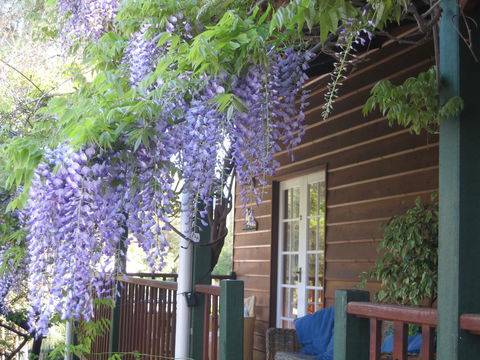 RoseMoore Bed & Breakfast - Accommodation Port Hedland 11