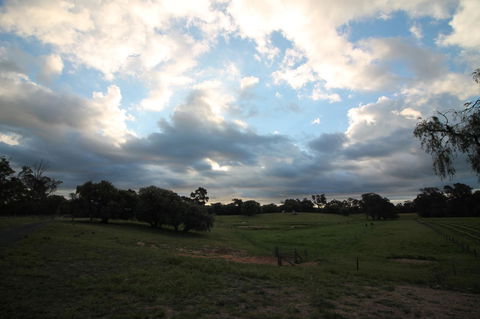 Windfall Estate Vineyard Cottage - Accommodation Port Hedland 33