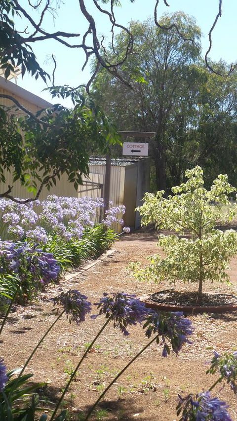 Windfall Estate Vineyard Cottage - Accommodation Port Hedland 13