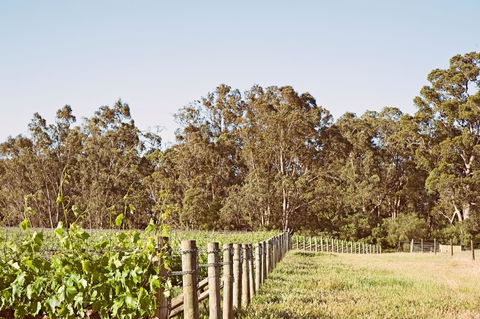 Windfall Estate Vineyard Cottage - Accommodation Port Hedland 23