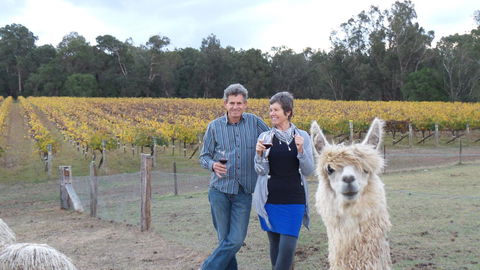 Windfall Estate Vineyard Cottage - Accommodation Port Hedland 11