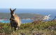 Bremer Bay B&B - thumb 30
