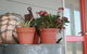 Bremer Bay B&B - thumb 28