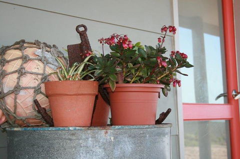 Bremer Bay B&B - Accommodation Port Hedland 28