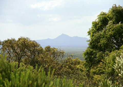 Bremer Bay B&B - Accommodation Port Hedland 32