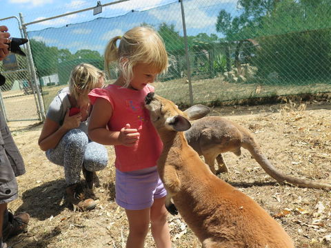 Jurien Beachfront Holiday Units - Accommodation Port Hedland 36