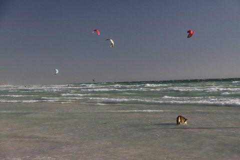 Dongara Tourist Park - Accommodation Port Hedland 33