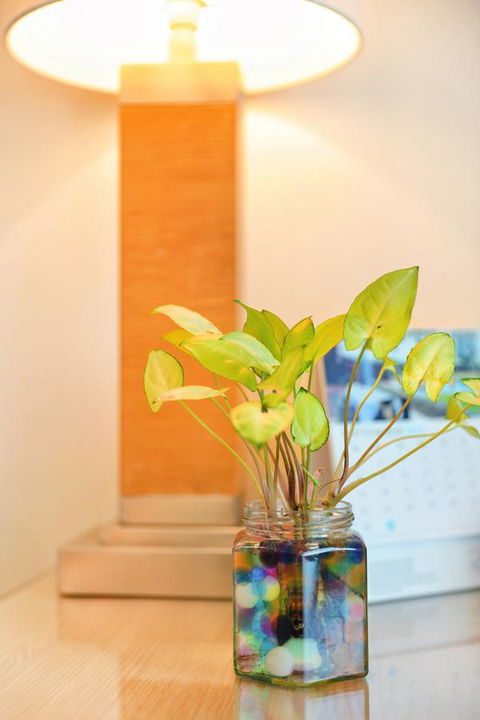 Bunbury Hotel Koombana Bay - Accommodation Port Hedland 7