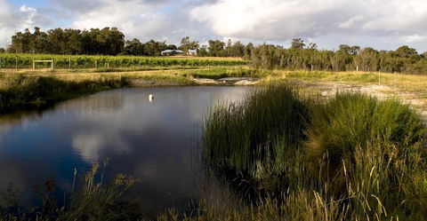 SilverSprings Spa Retreat Pet Friendly Cottages And Glampings - Accommodation Port Hedland 2