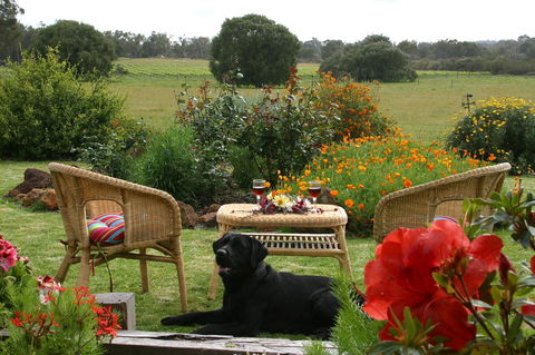 SilverSprings Spa Retreat Pet Friendly Cottages And Glampings - Accommodation Port Hedland 0