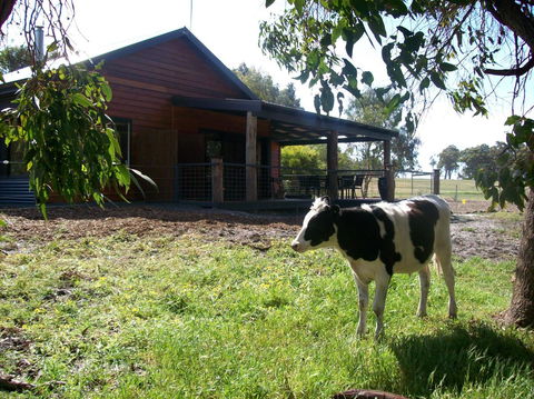 SilverSprings Spa Retreat Pet Friendly Cottages And Glampings - Accommodation Port Hedland 23